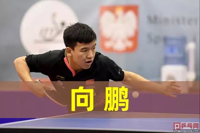 完全斷裂 完全斷裂